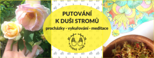 Putování k duši stromů - meditační procházka @ Obora Hvězda